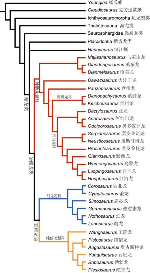 距今2.44亿年的奇异罗平龙被发现，恐龙迷的DNA狠狠地动了！