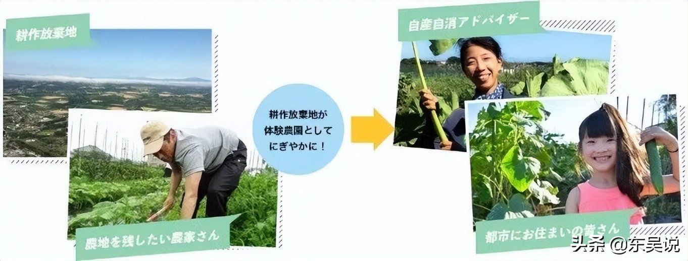 myfarm创新共享农业新模式,日本myfarm共享农场营销模式