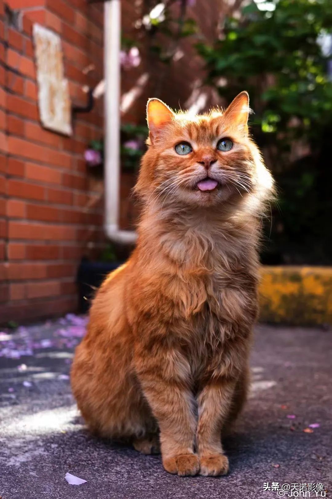 理光griiix怎么样,理光gr3x值不值得入手