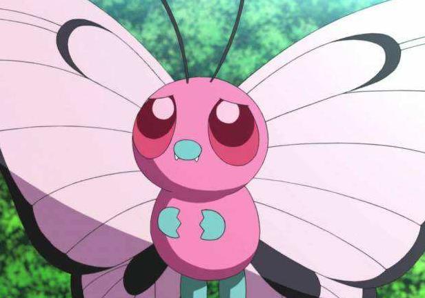 弱小的虫子大全,看起来弱实际上非常强的怪兽