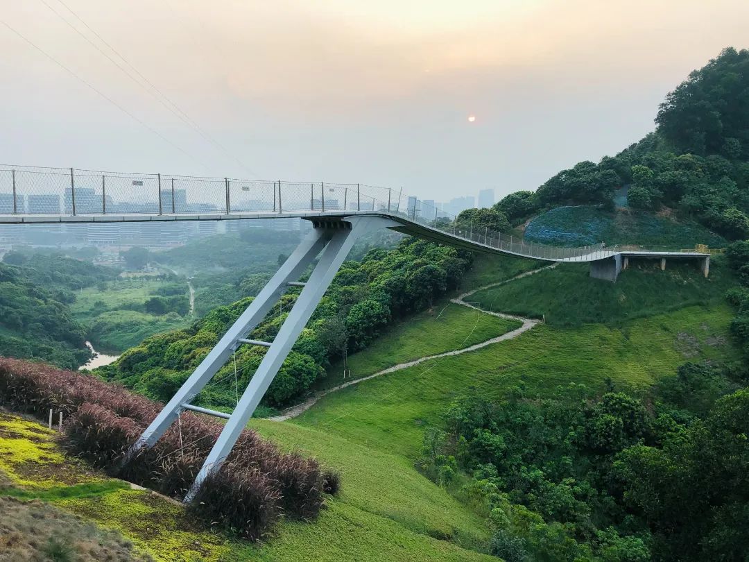徒步露营带什么好吃的美食,旅行美食露营总有一款能治愈