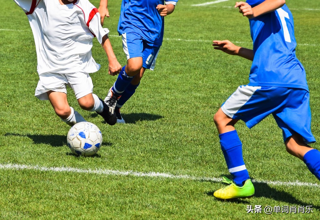 有言有味,有言有味说单词读后感