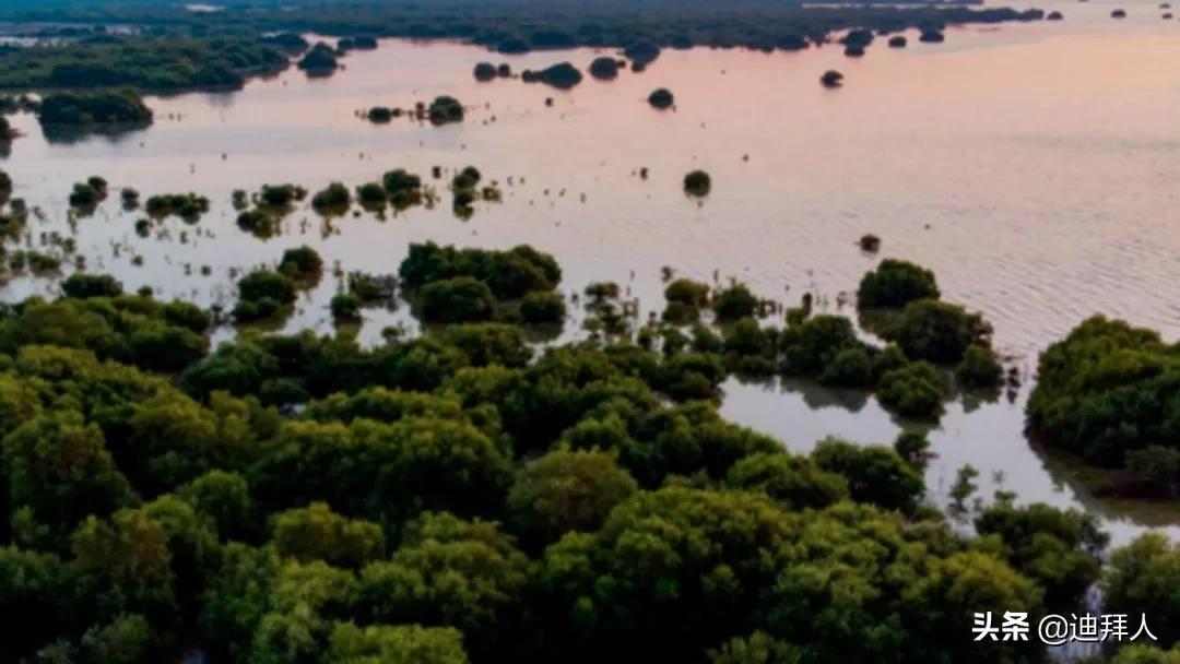 阿联酋十大必去景点,远离城市喧嚣的旅游地方