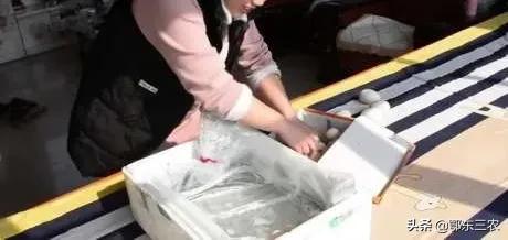 家里什么东西可以用来孵化小鸡,孵小鸡教程简单泡沫箱