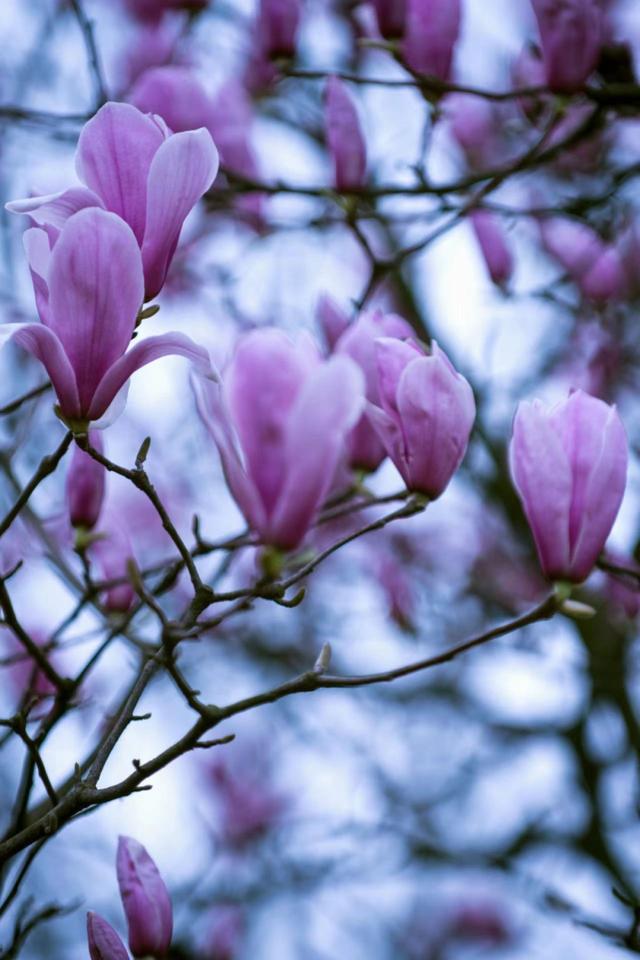 南京一定要去的山,南京值得去的山