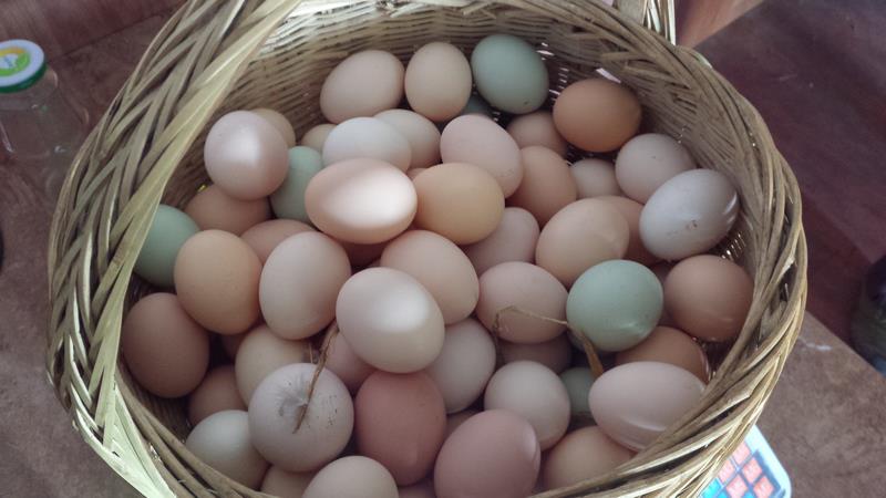 赶农村大集时，千万别买这4样东西，大多数是假货，买了就要上当