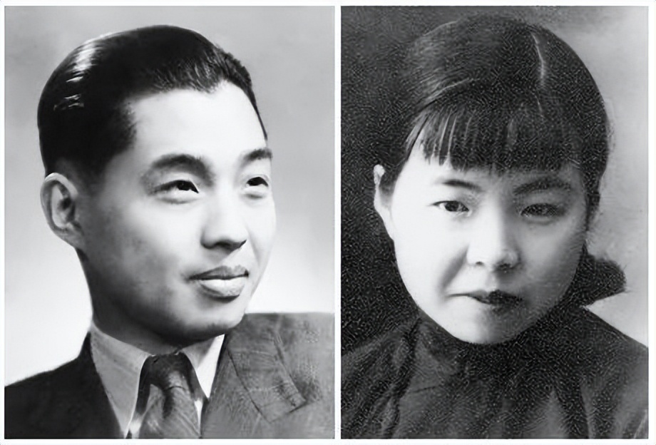 谍战玫瑰沈安娜的传奇人生,谍战玫瑰沈安娜电视剧多少集