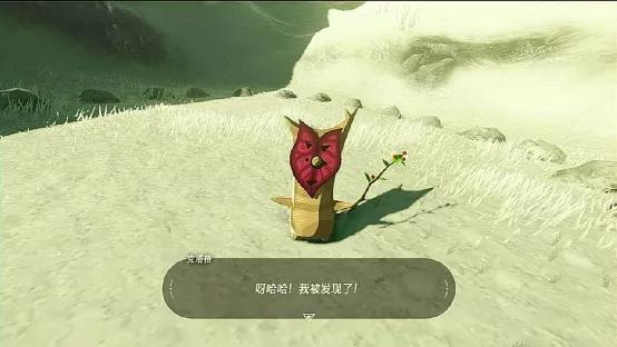 任天堂的游戏为什么更注重细节,任天堂游戏大家都在玩什么