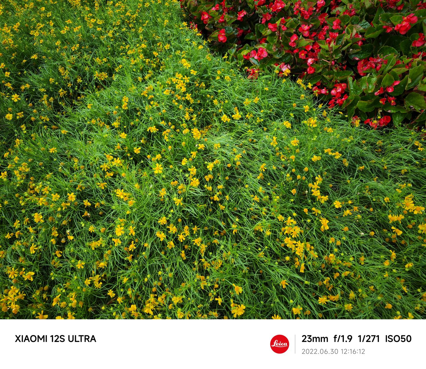 小米12sultra评测开箱,小米12sultra评测首发