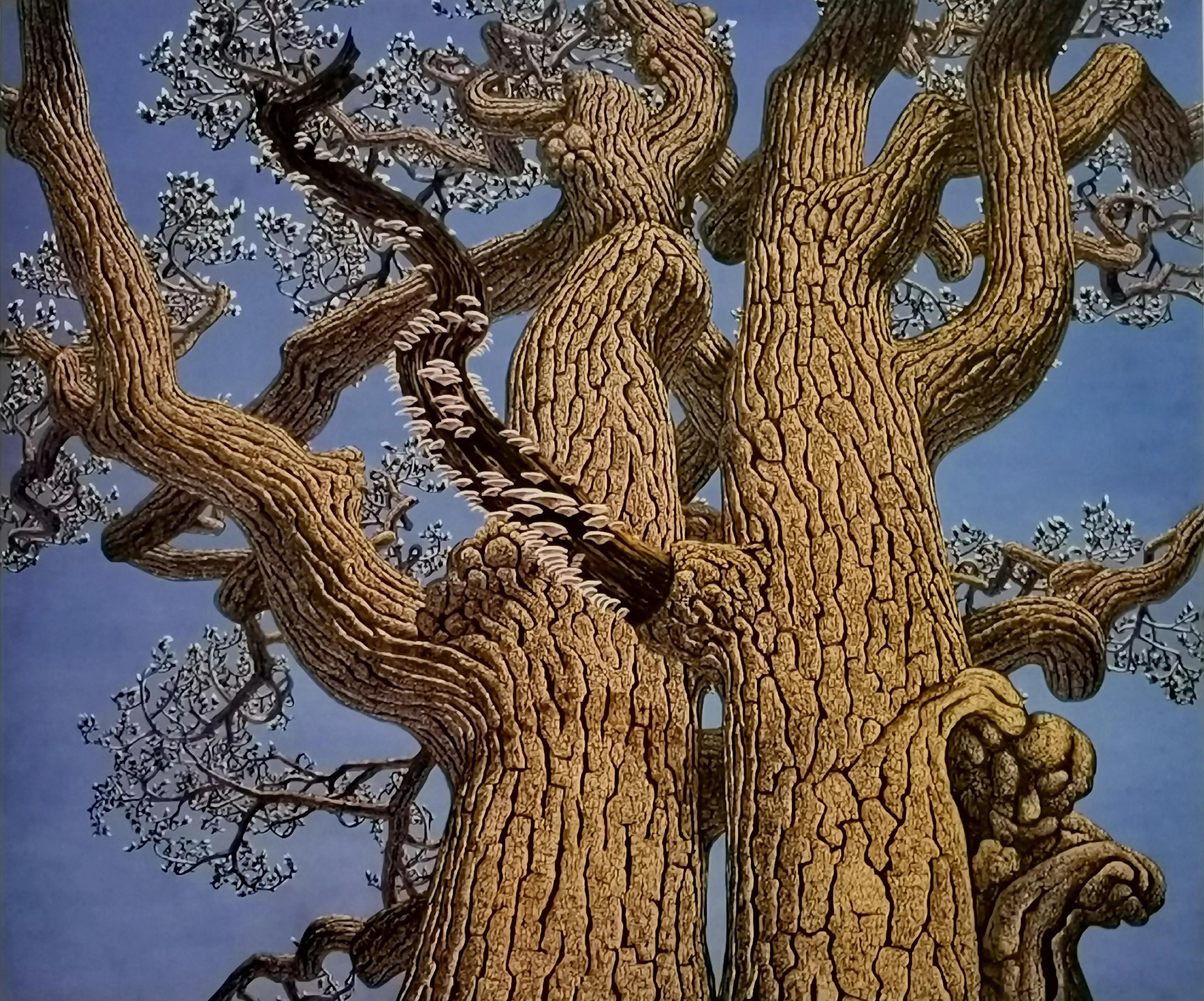 肖景志评论家,肖景志油画作品