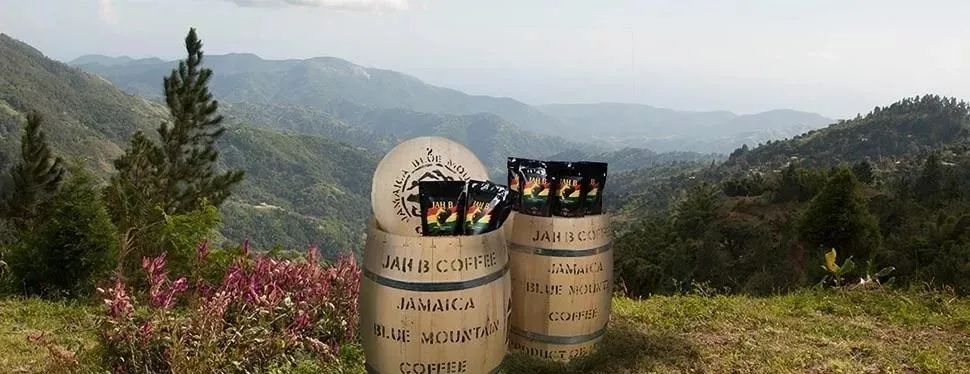 涨知识7个关于咖啡的小知识,40条有趣的咖啡小知识