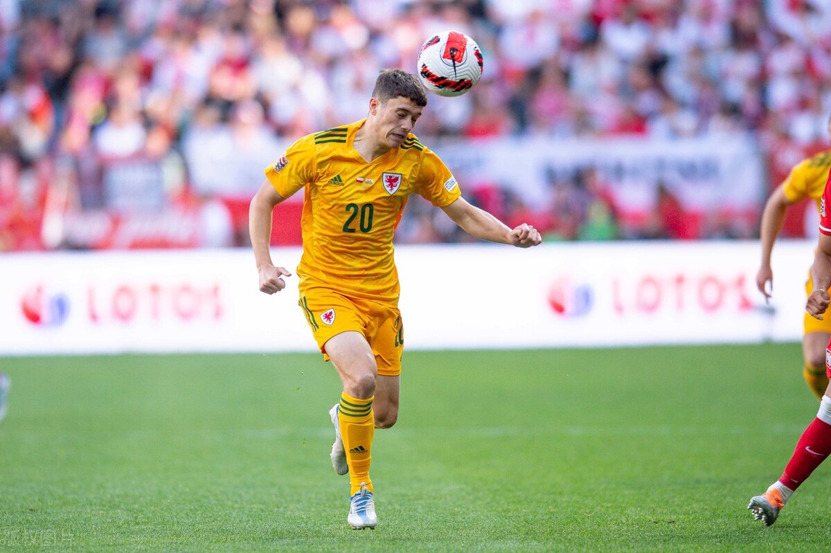 威尔士vs英国预测,威尔士vs波兰预测