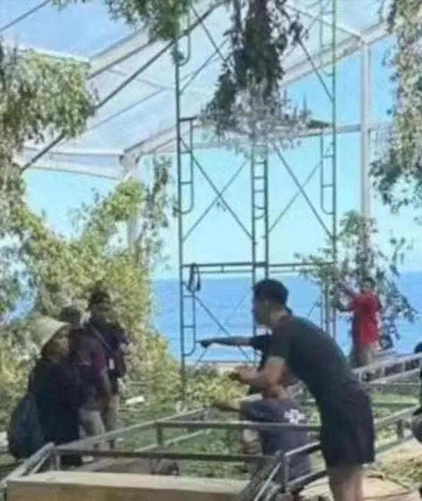 窦骁何超莲张一山伴郎,窦骁何超莲张一山