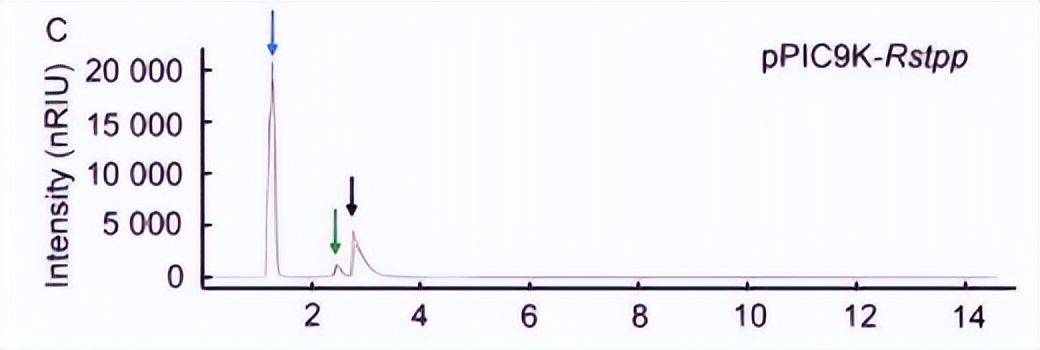 海藻糖代谢,海藻糖对植物抗逆性的作用
