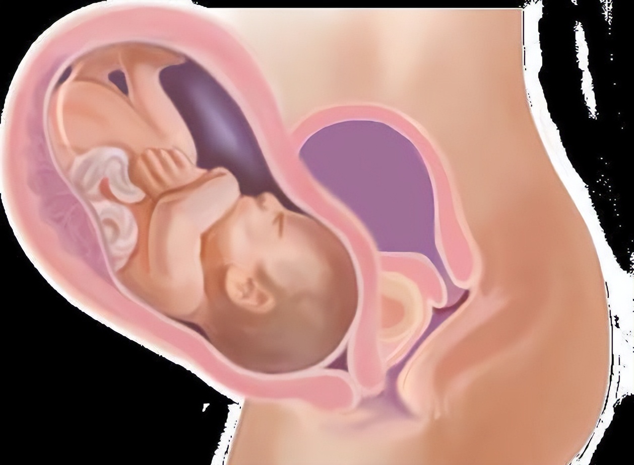 从受孕到分娩约四十周,从受孕到婴儿每天的变化