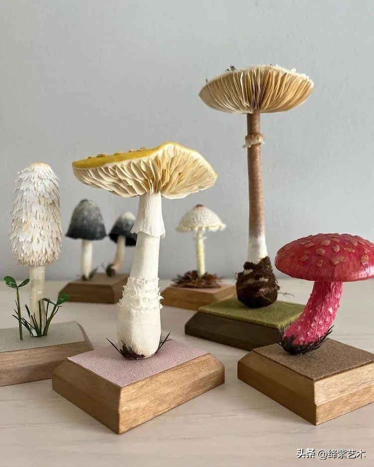 以假乱真的纸蘑菇,以假乱真纸制蘑菇