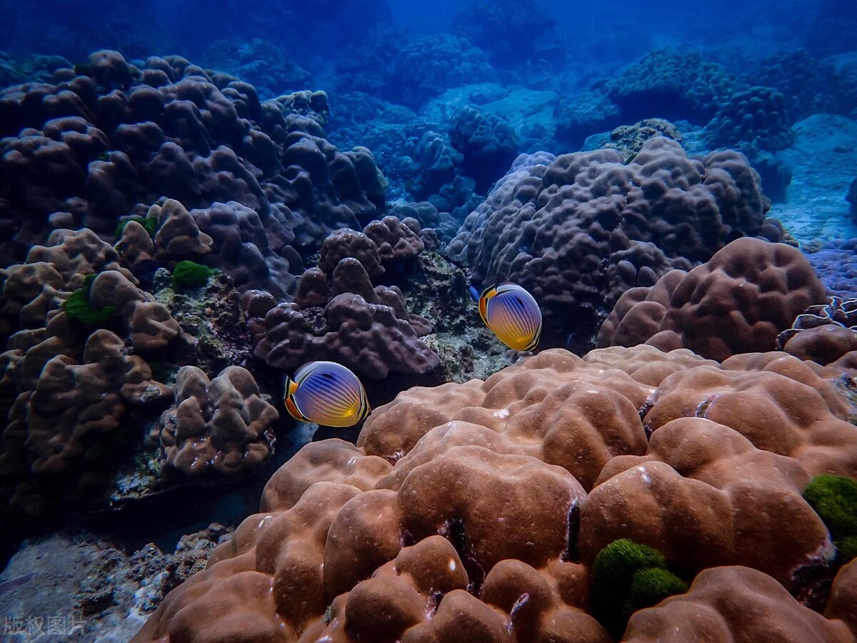 泰国普吉岛6日游攻略,泰国普吉岛6日旅游攻略