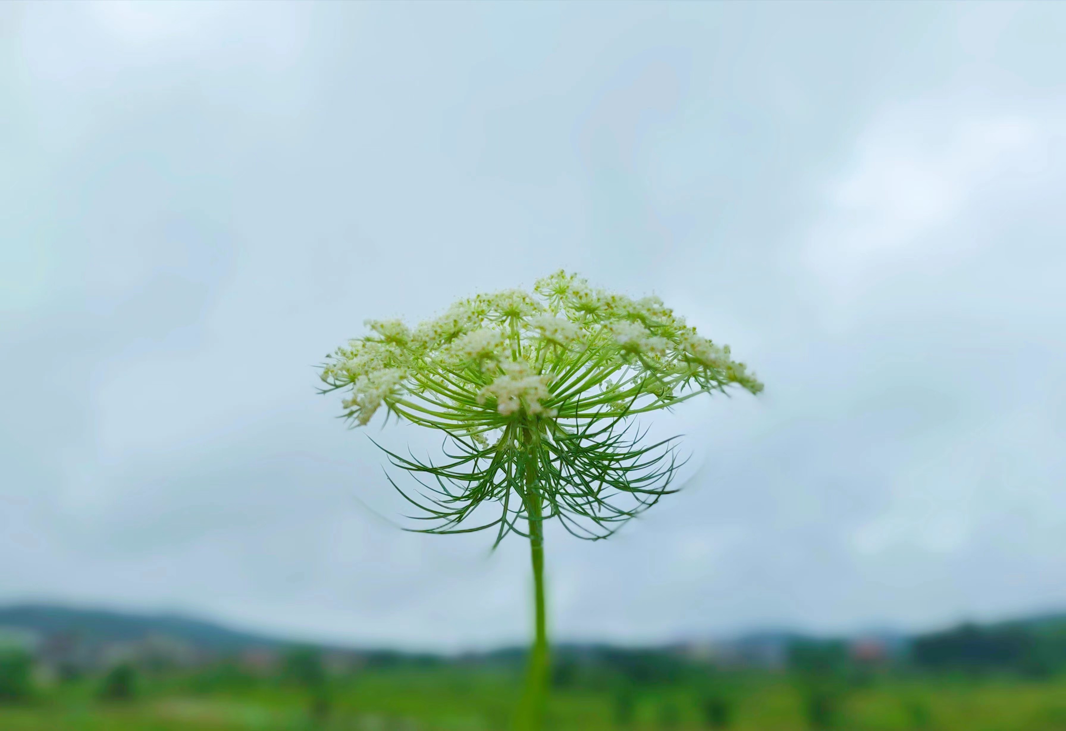相亲见面两次可以发展到什么地步,同一个相亲对象介绍两次