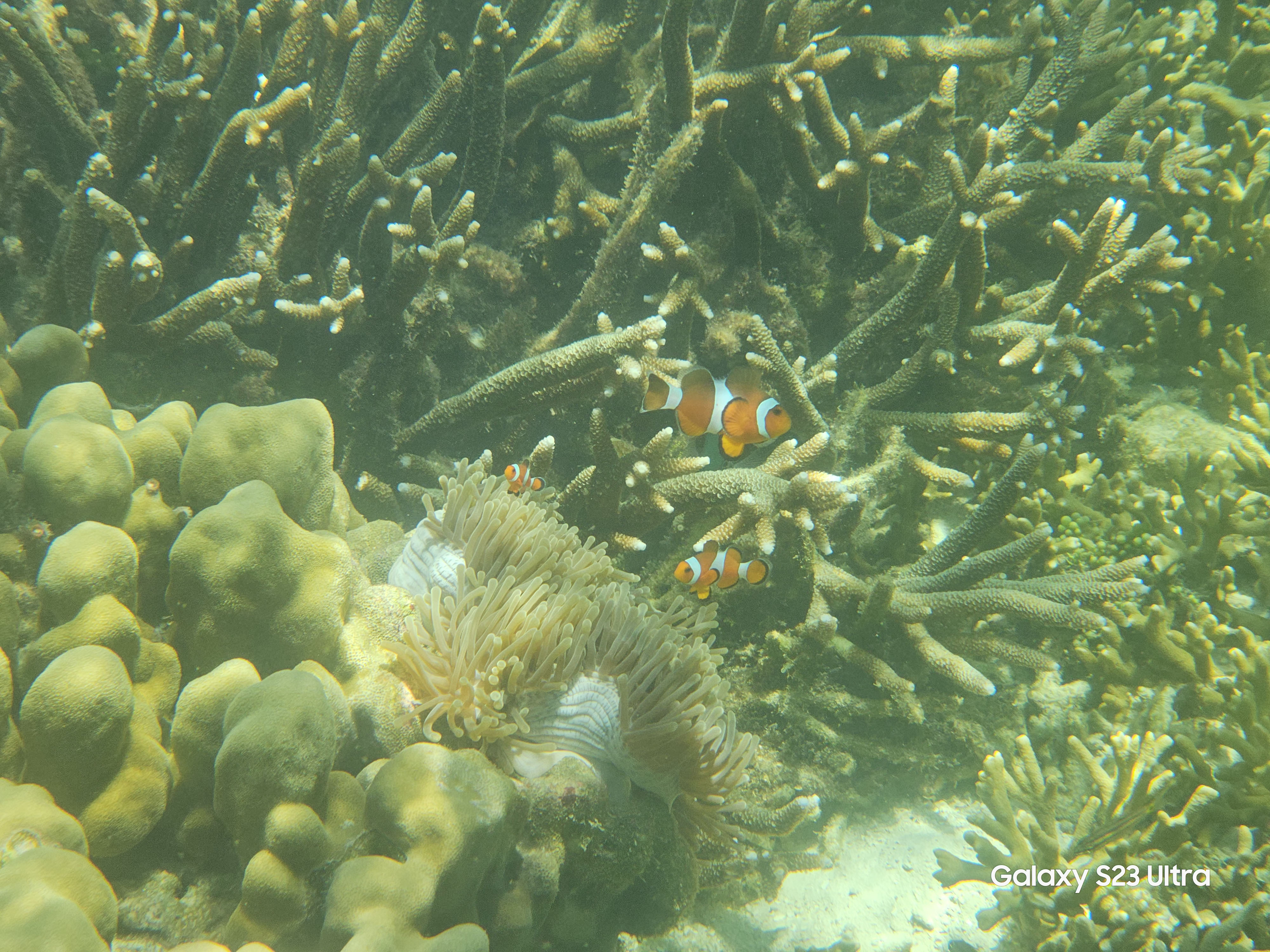 galaxys23ultra火影,galaxys23ultra港行