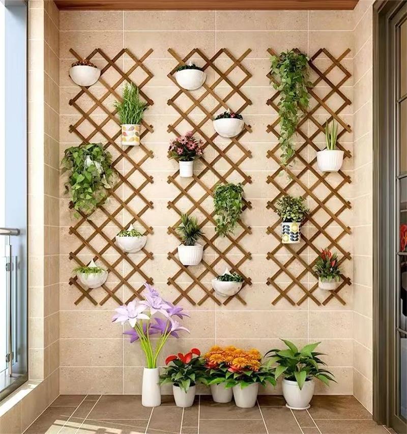 入门玄关适合摆放什么花草好看,新房装修好放什么花草好