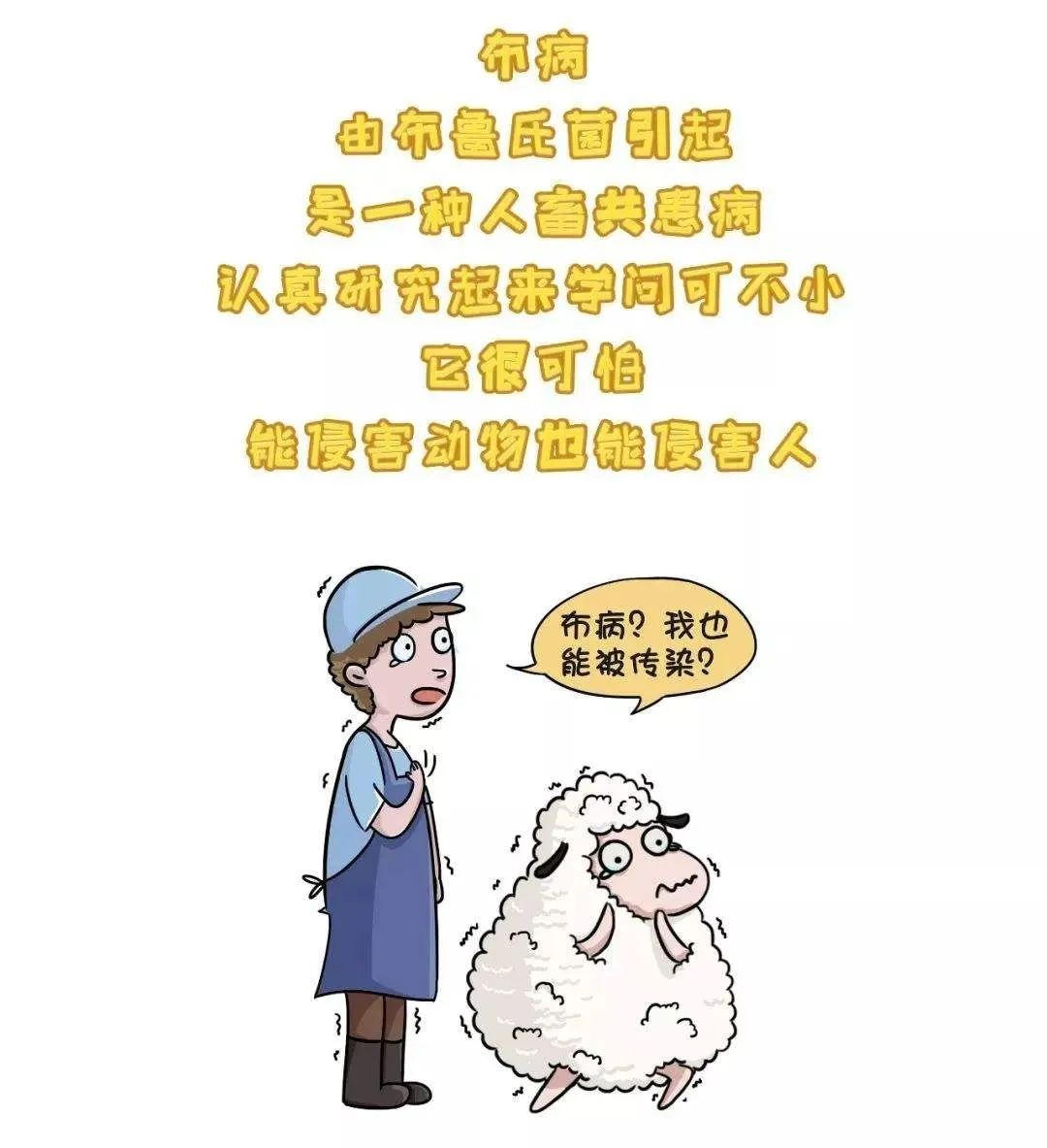 布病急发病期,布病流行季节