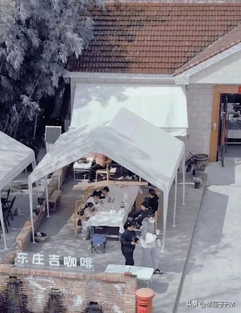 茭白新鲜生吃可以吗,新鲜茭白可以冷冻有酸味