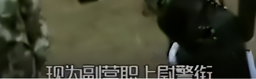 李晨范冰冰张馨予当年发生了什么,张馨予晒美照坐实怀孕传闻