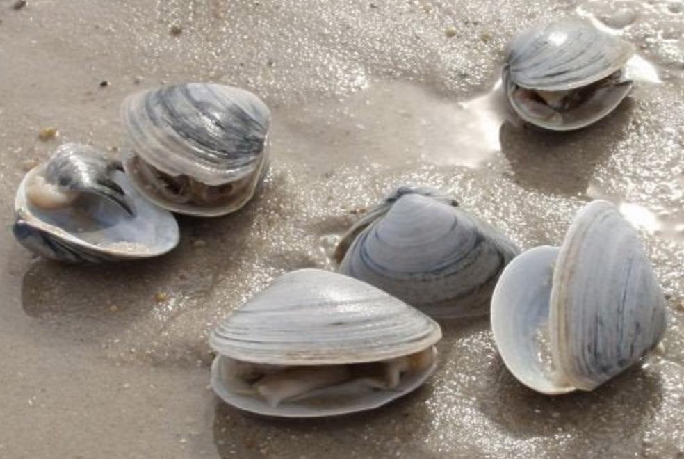 世界上有超自然生物吗,世界上真的有超自然的存在吗