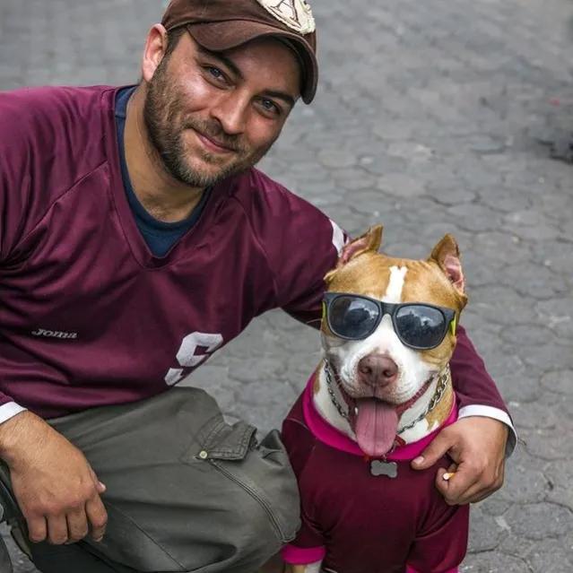 你不知道的国家冷知识黎巴嫩篇,你不知道的国家冷知识安哥拉
