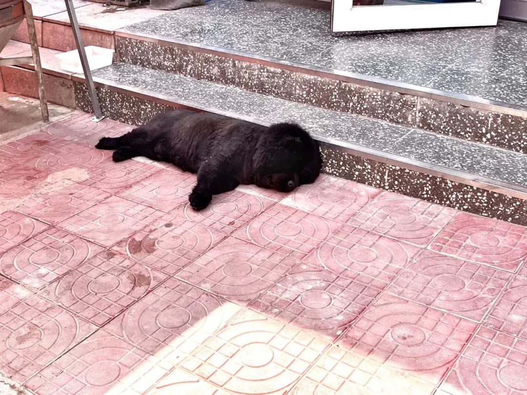 7月份人来人往街道,7月北京人山人海