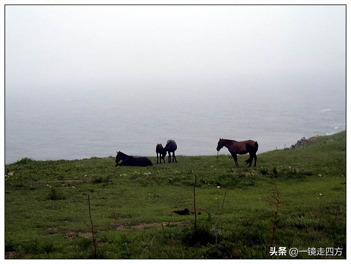 到兴城旅游,兴城怎么去菊花岛旅游