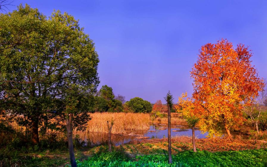 古诗词里的冬日温暖,古诗词里最美的冬天句子