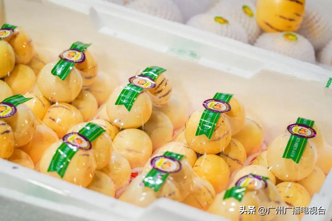 广州黄沙水产交易市场是否开放,广州黄沙水产批发市场最新消息