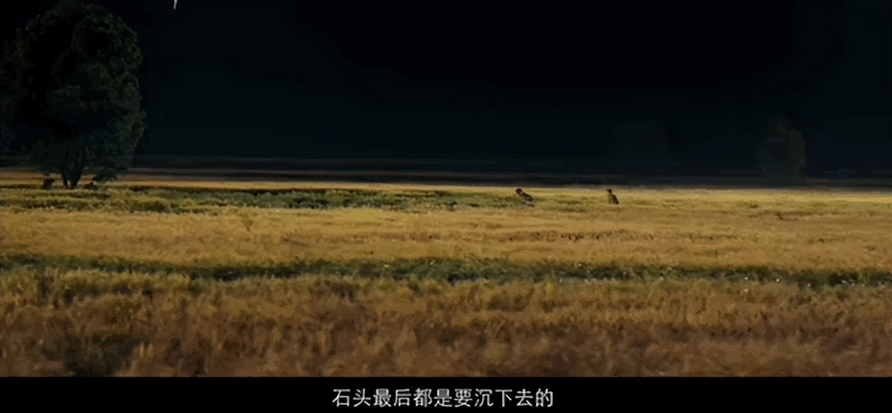 王宝强的八角笼中票房突破几亿,王宝强的八角笼中票房破多少了