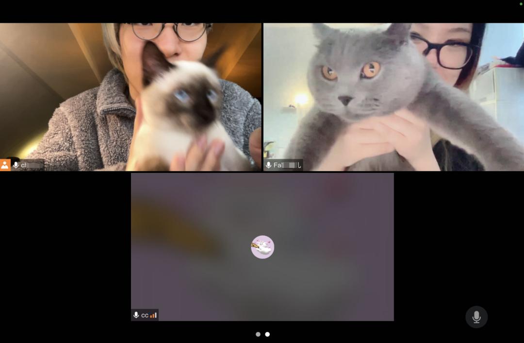 皇艺来了哈哈,我直接拒掉伦艺面试