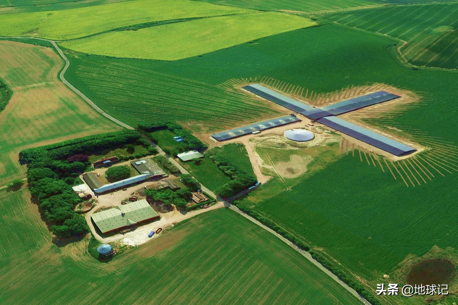 丹麦为什么那么富裕,丹麦为什么能成为养猪王国