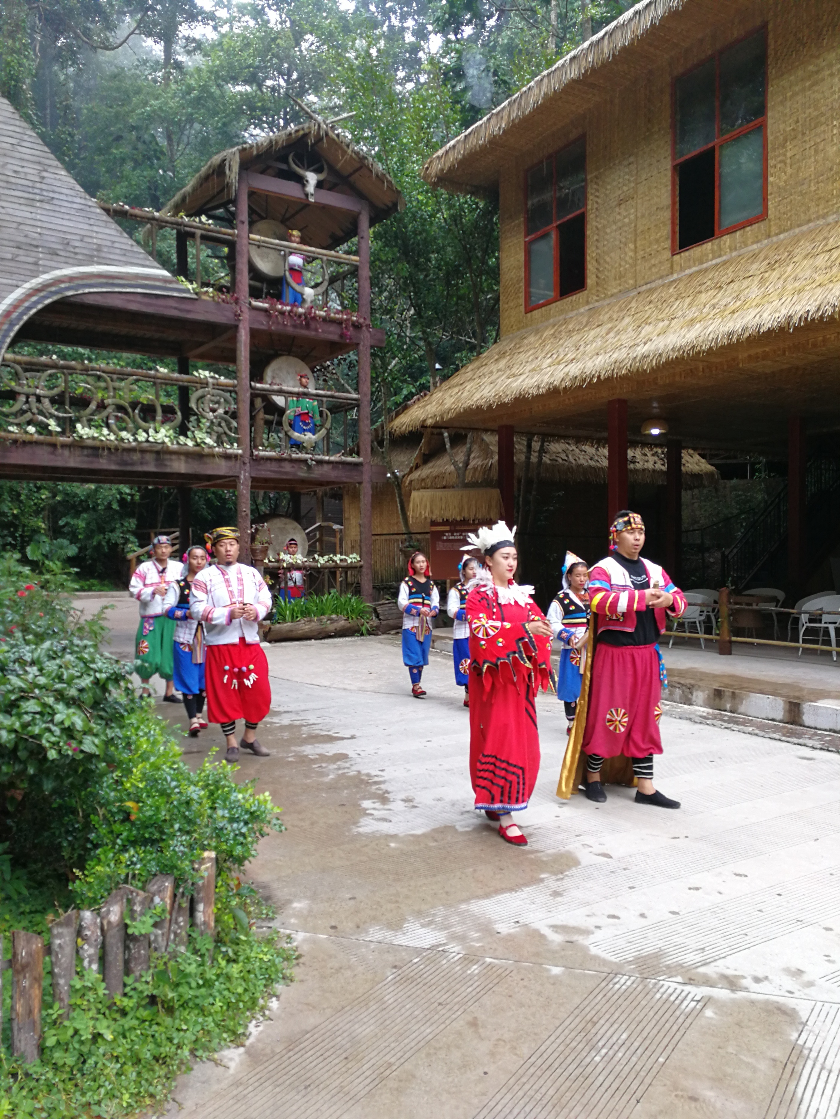 带大家走进美丽的西双版纳,带您走进美丽的西双版纳