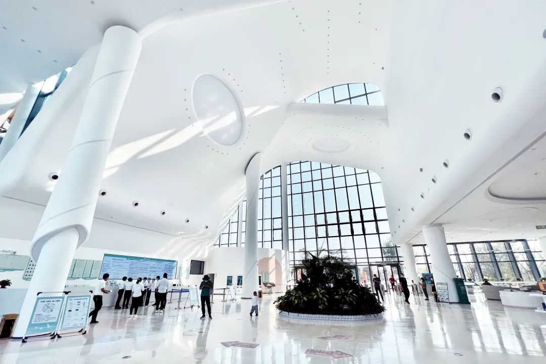 衡水园博园改造,衡水湖改造工程