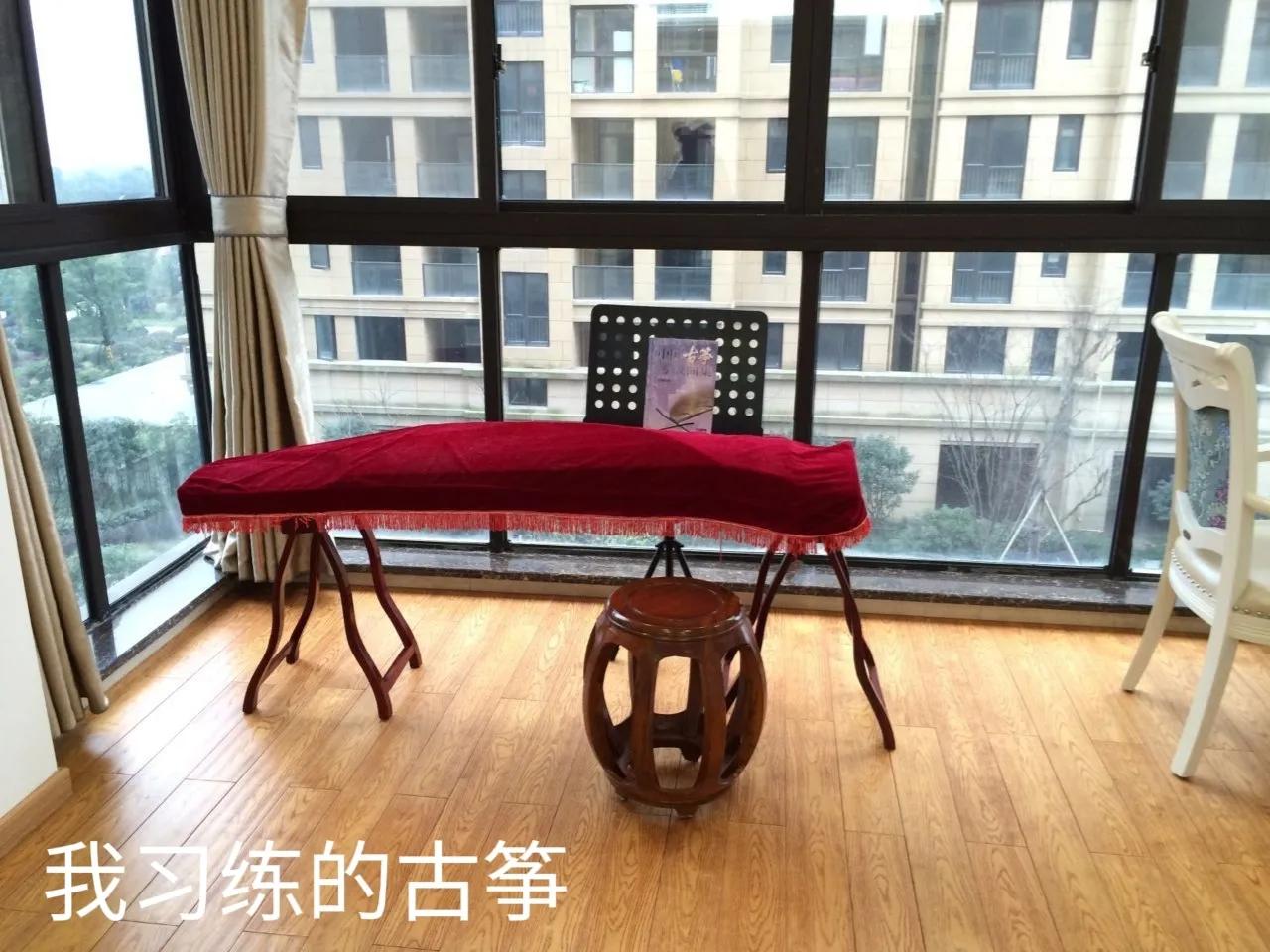 古筝独特魅力视频,古筝和琵琶哪个更有魅力