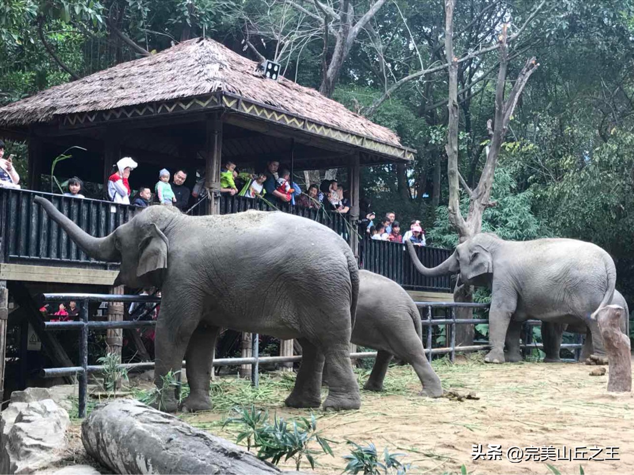 广州5a景区正佳广场,广州5a景点排名大全