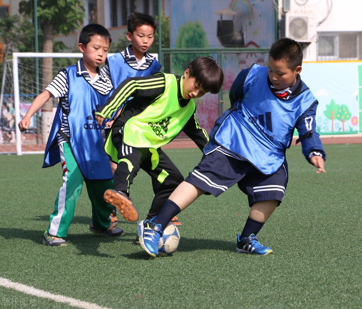 青训足球和校园足球的区别,中国足球青训领域