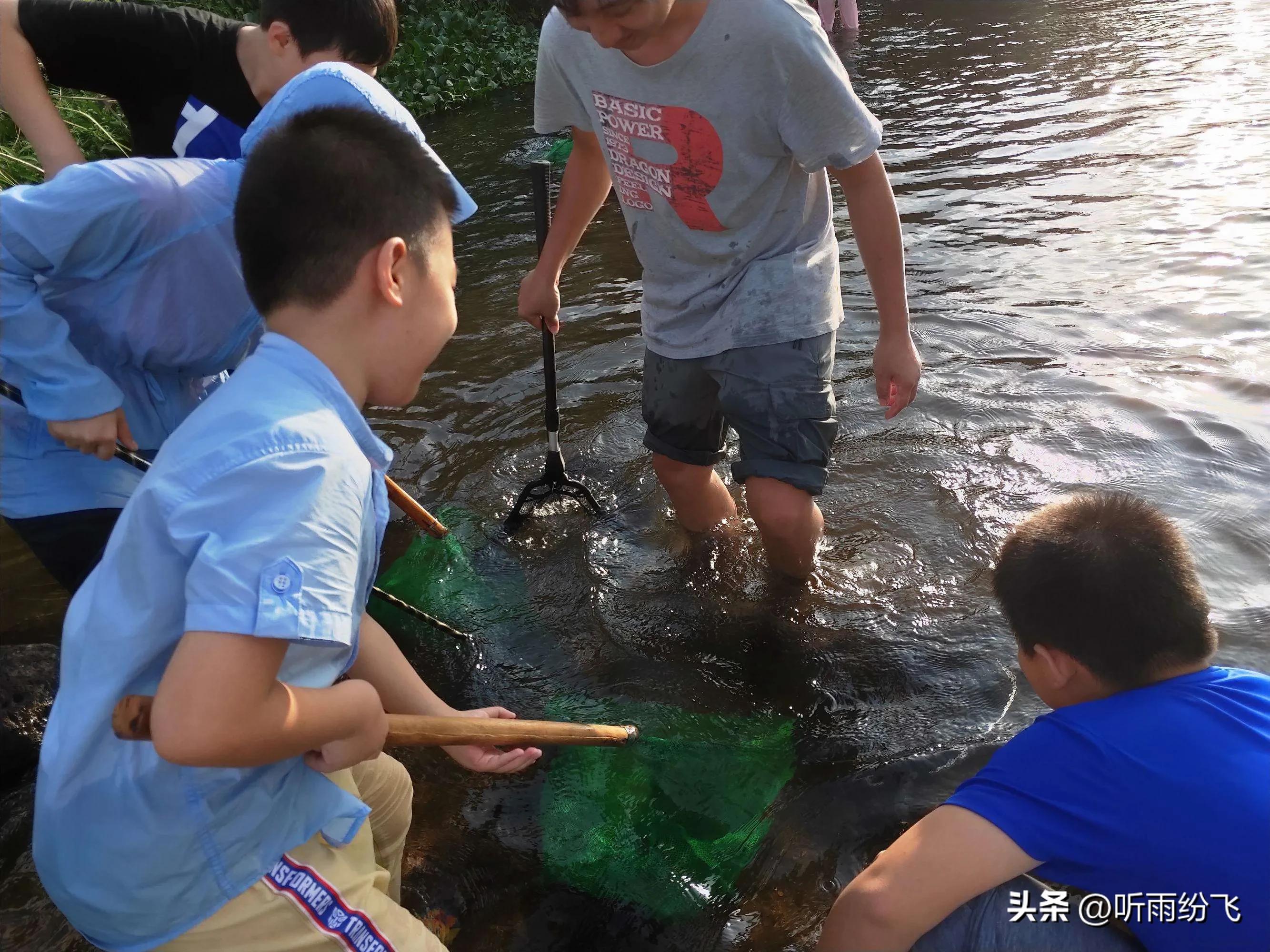 回忆童年捞虾,童年回忆捞河虾
