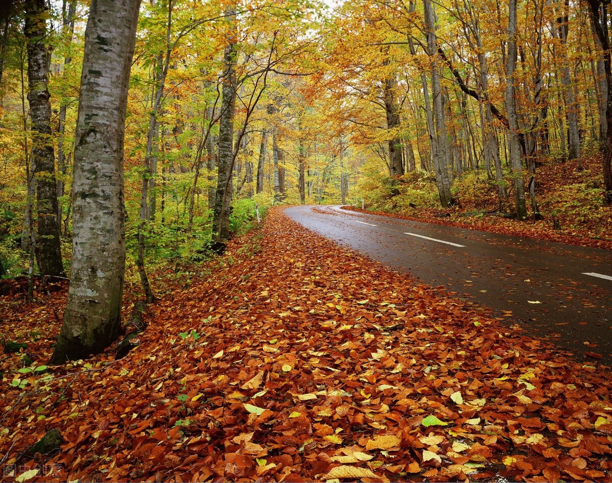 黄昏完整版免费阅读,黄昏剧情完整版