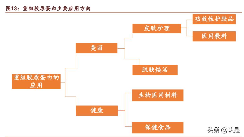 巨子生物重组胶原蛋白是真的吗,巨子生物胶原蛋白市场前景
