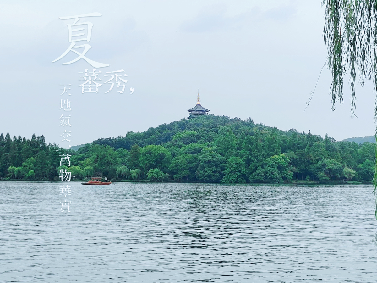 荣耀70评测：颜值才华兼备，旗舰IMX800要你好看，五星好“屏”