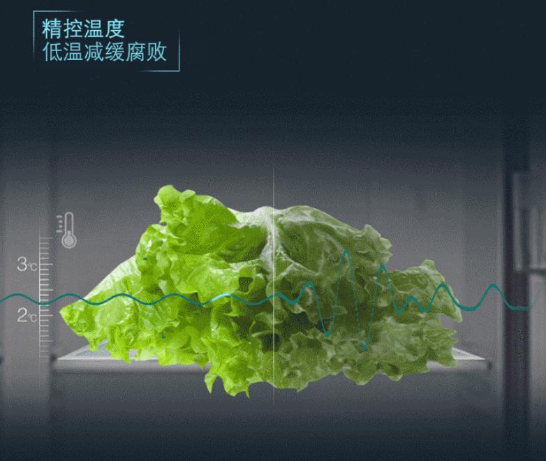 真正的嵌入式冰箱有哪些,为啥现在流行嵌入式冰箱