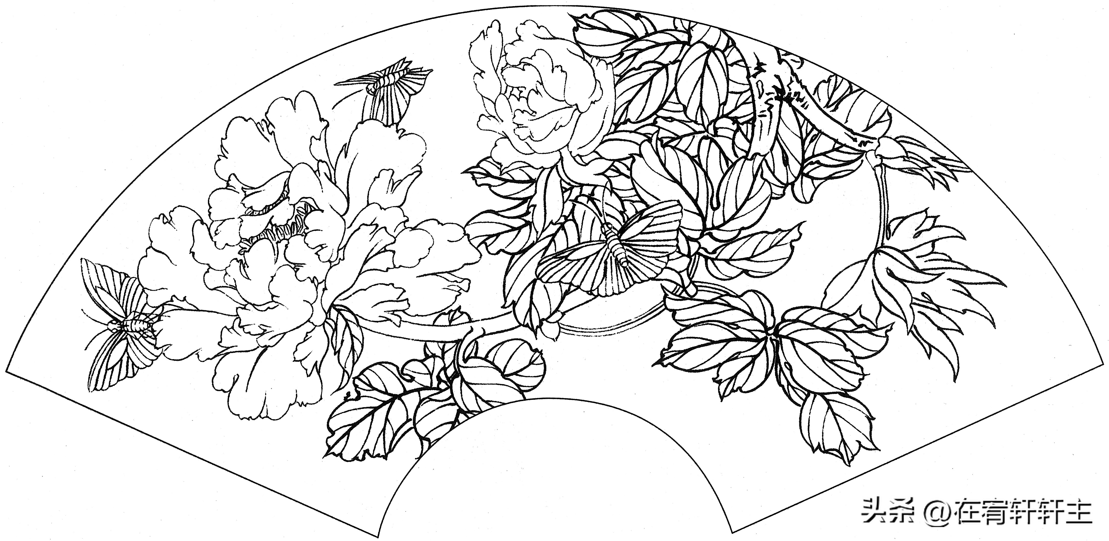 工笔白描祥云图案扇面,工笔扇面葡萄白描图片