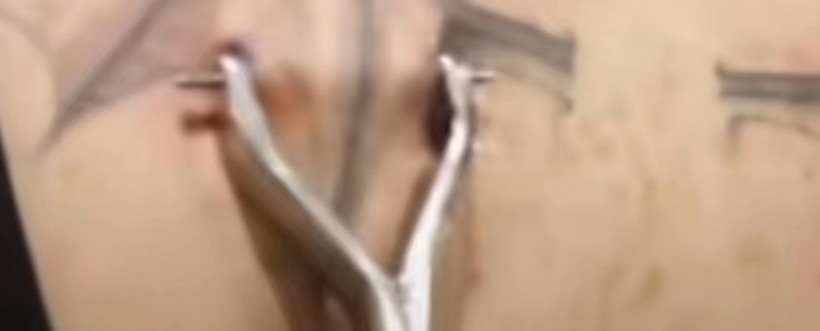 外国女子在皮肉上打孔，然后吊威亚玩，网友：不理解但大为震撼