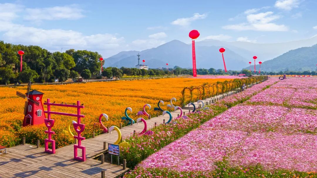 安义古村世界杯,燃情世界杯之夜