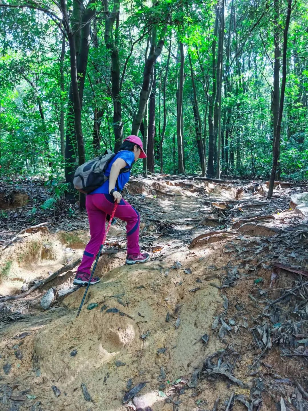 火炉山徒步登山路线图解,徒步中山铁炉山